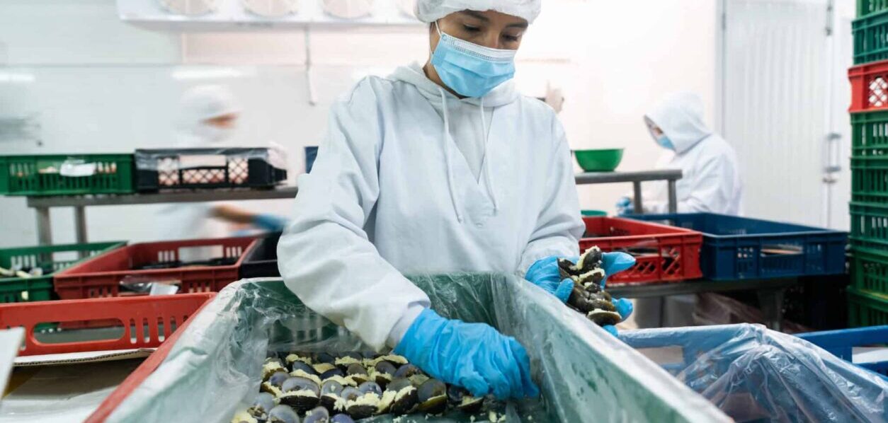 Fish Production Operative 94142 - Fish and seafood plant workers - WorkPEI