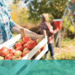 Double Hill Cidery