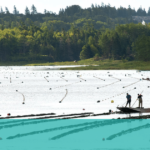 Raspberry Point Oysters Co.