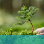PEI Watershed Alliance