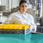 Comité Acadien et Francophone de l'Est