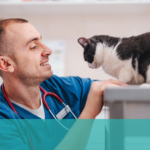 Abegweit Animal Hospital
