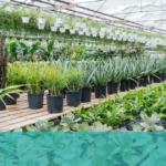 Somerset Gardens Inc