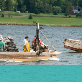 Malpeque Bay Oyster Farms Ltd